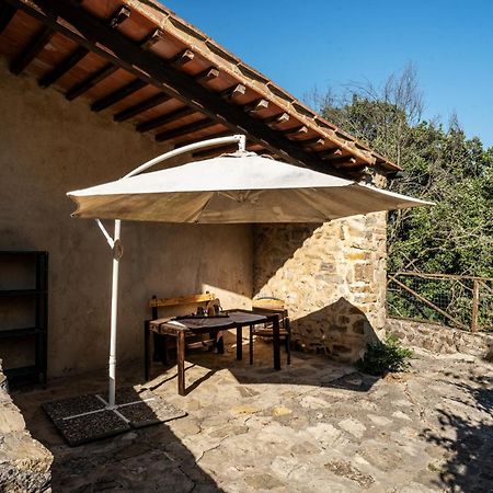 Agriturismo Santa Caterina Castelnuovo di Val di Cecina Buitenkant foto