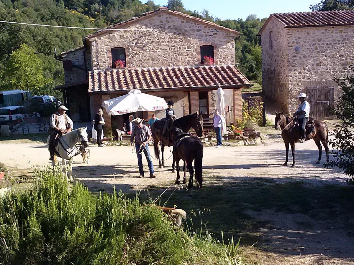 Agriturismo Santa Caterina Castelnuovo di Val di Cecina Buitenkant foto